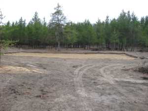 Naturist Legacy History: Gallery 21/11...New volleyball court takes shape